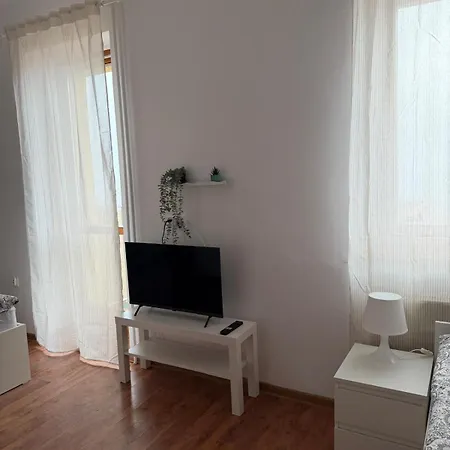 Dzikie Fiolki