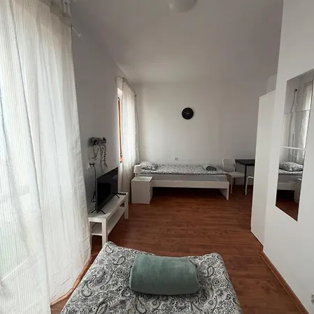 Dzikie Fiolki