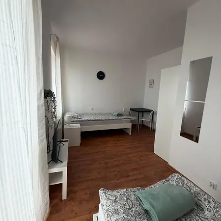 Dzikie Fiolki Karpacz