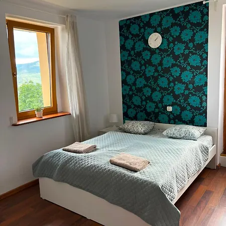 Hotel Dzikie Fiolki *